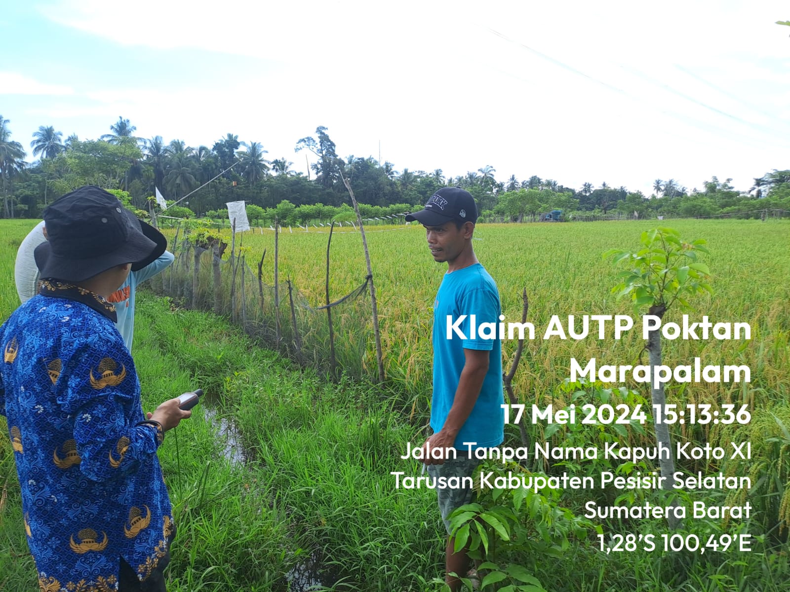Survei klaim AUTP pada Poktan Marapalam di Kecamatan Koto XI Tarusan