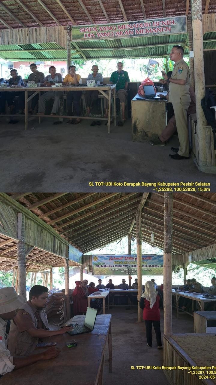 Sekolah Lapang Padi Tanpa Olah Tanah-Udara Bersih Indonesia 