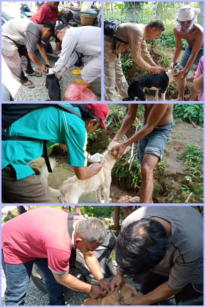 Vaksinasi Rabies di Nagari KBKA, Taratak Sungai Lundang dan Barung Barung Balantai