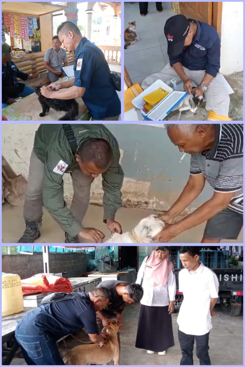 Vaksinasi Rabies di Nagari Duku, Barung Barung Balantai Selatan dan Barung Barung Balantai Tengah