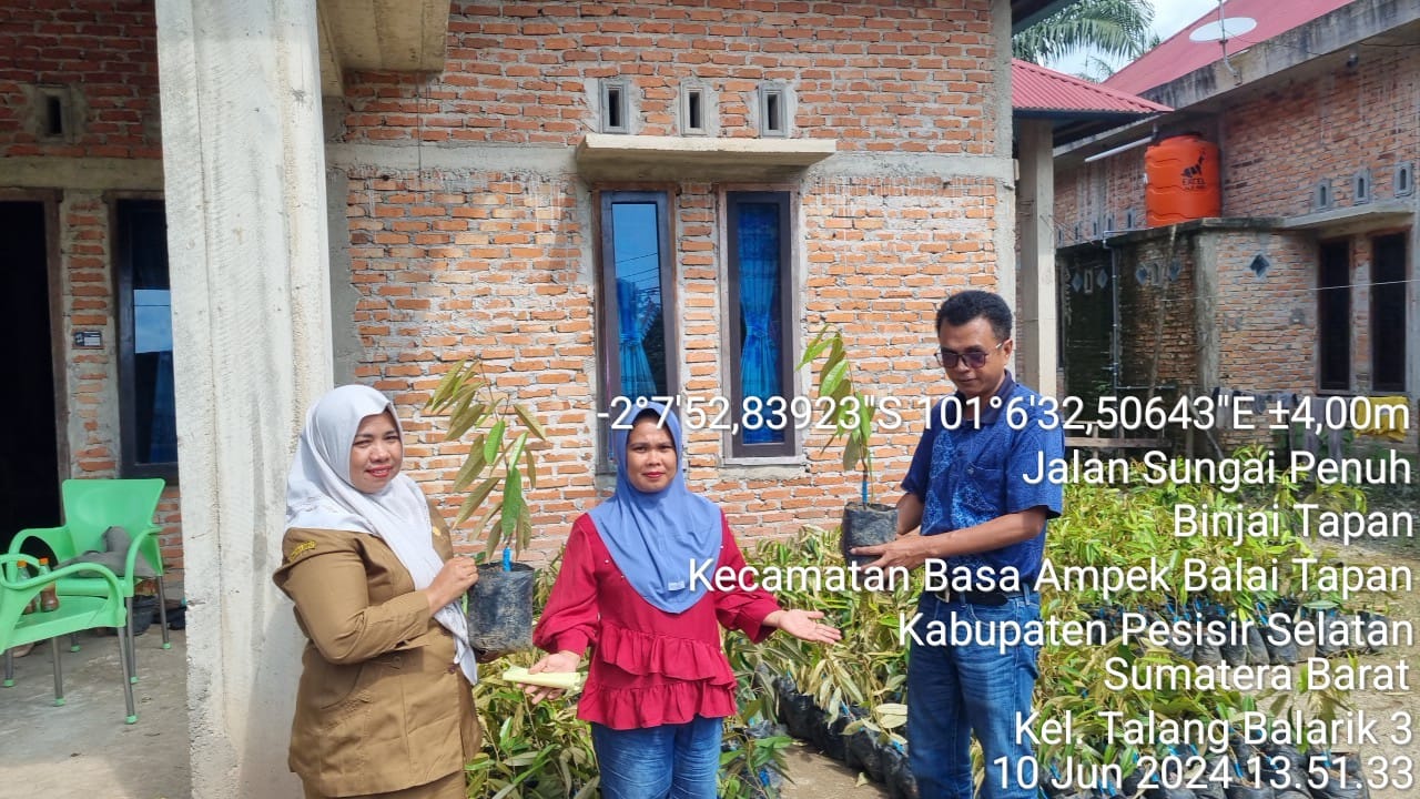 TPH-DROPING BIBIT DURIAN DI KECAMATAN RANAH AMPEK HULU TAPAN