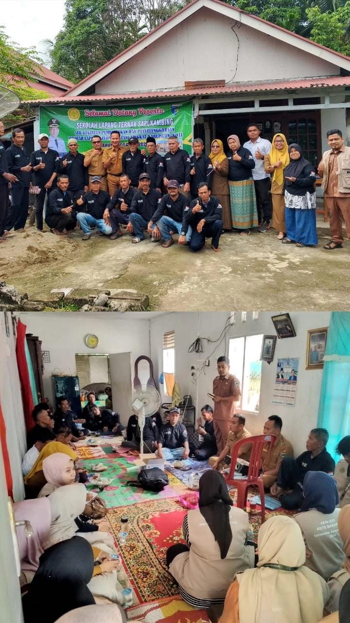 SEKOLAH LAPANGAN (SL) TERNAK SAPI DI KELOMPOK TANI PUNAGO KEC. BAYANG DIBUKA SECARA RESMI