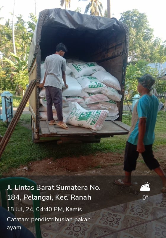 Pendistribusian pakan ternak ayam ke kelompok penerima bantuan Ayam