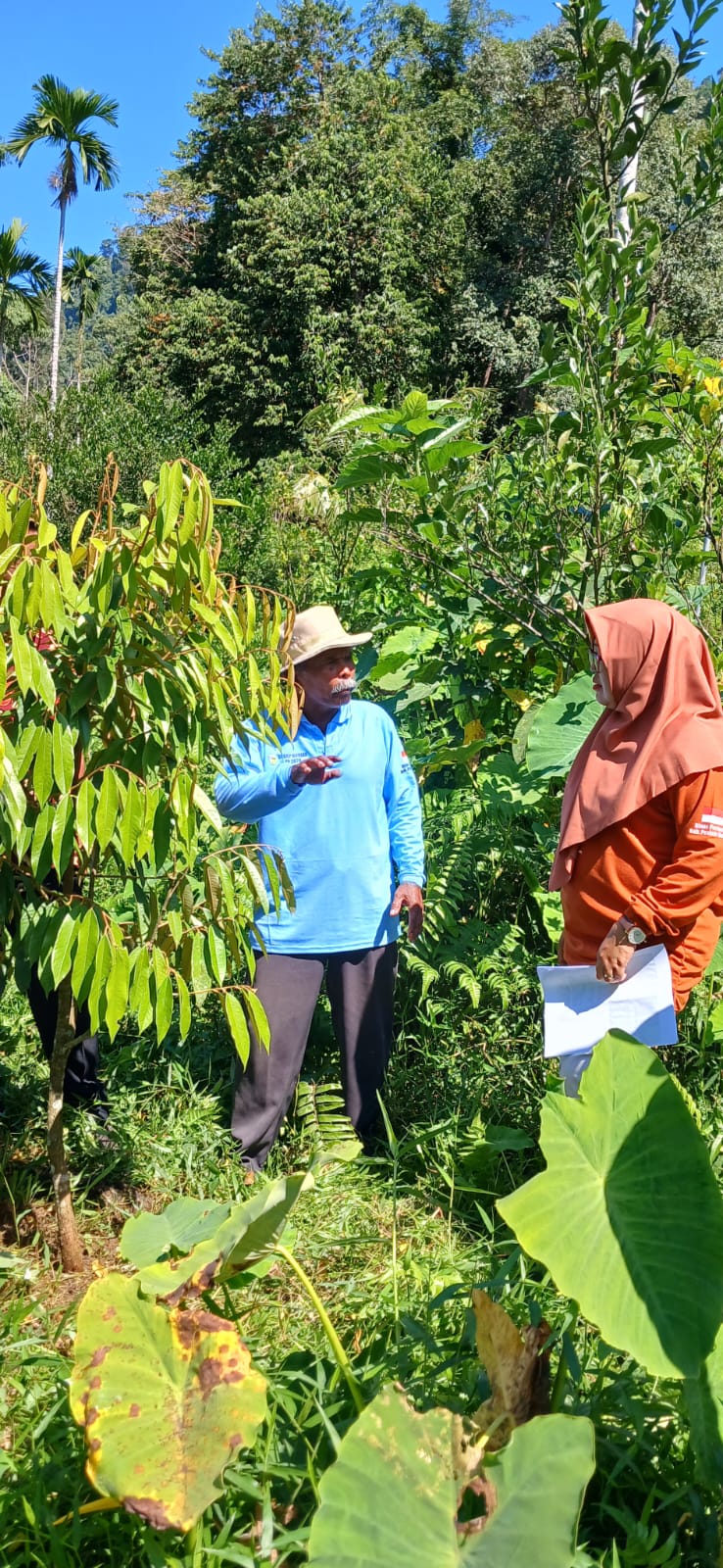 NARASUMBER SL GHP DURIAN DI KECAMATAN KOTO XI TARUSAN