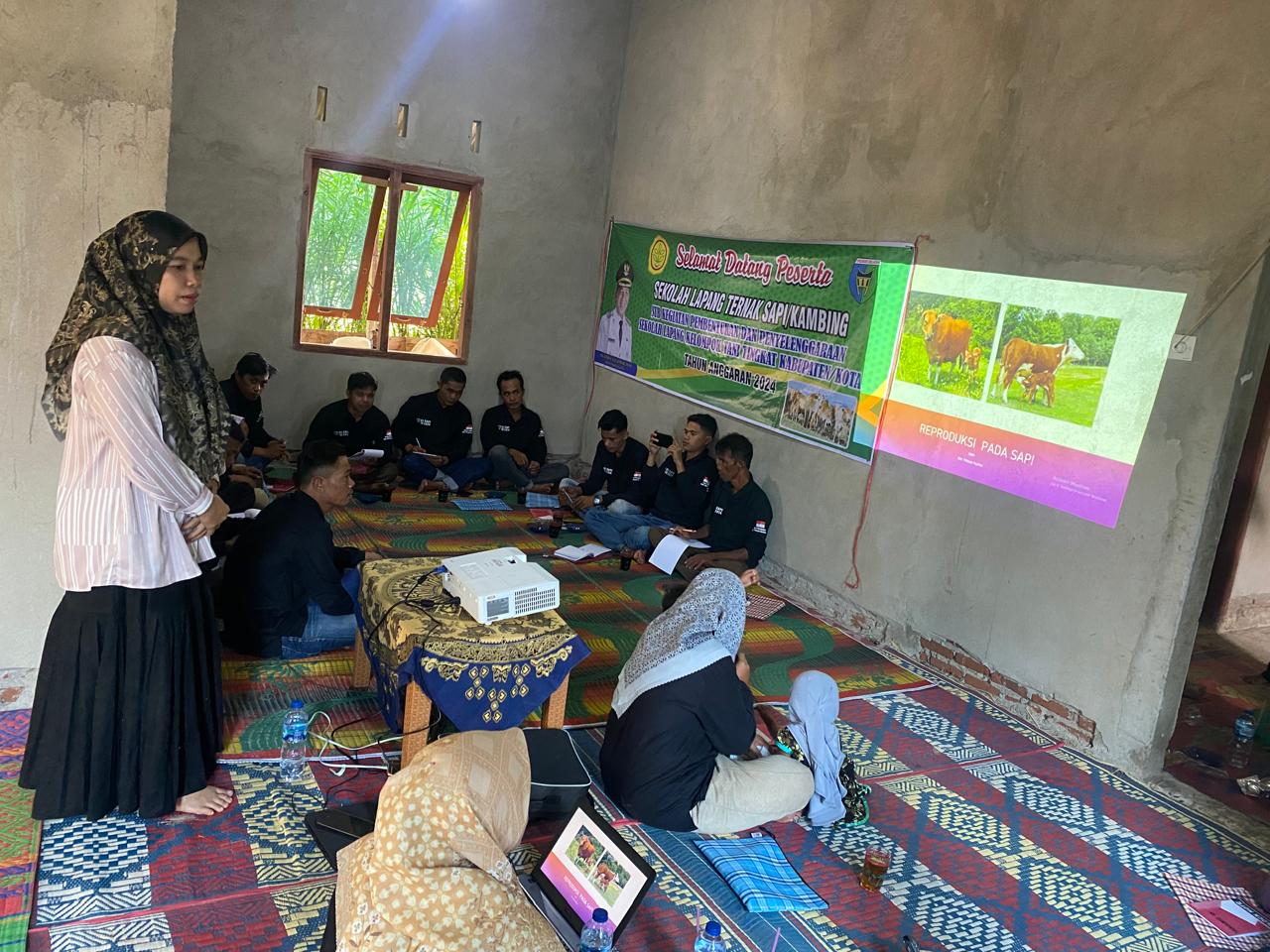 Sekolah Lapang ternak sapi yang ke tiga di kelompok tani simpang tabek sejahtera di nagari Punggasan
