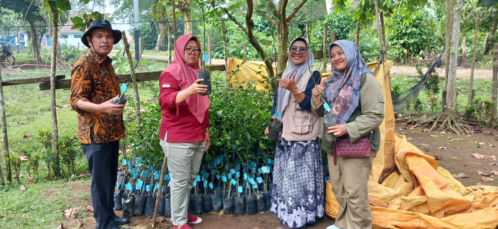 TPH-PEMERIKSAAN BIBIT JERUK DI KWT MELATI KECAMATAN PANCUNG SOAL