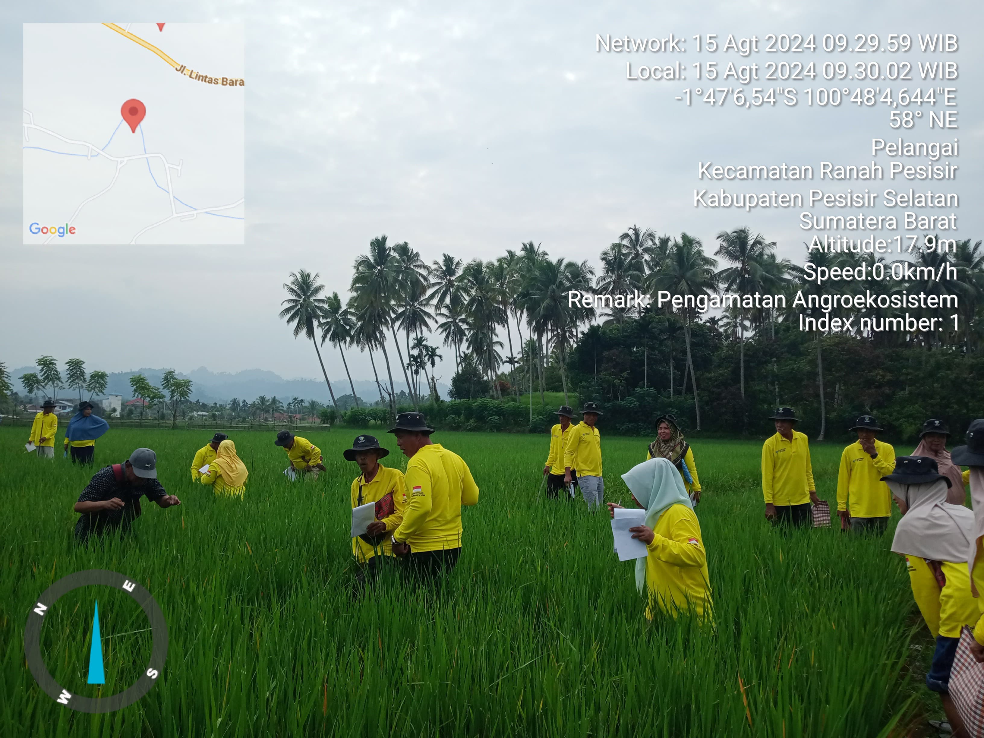 TPH-PERTEMUAN SL PHT PADI DI KELOMPOK TANI AIR TAMBANG KEC RANAH PESISIR