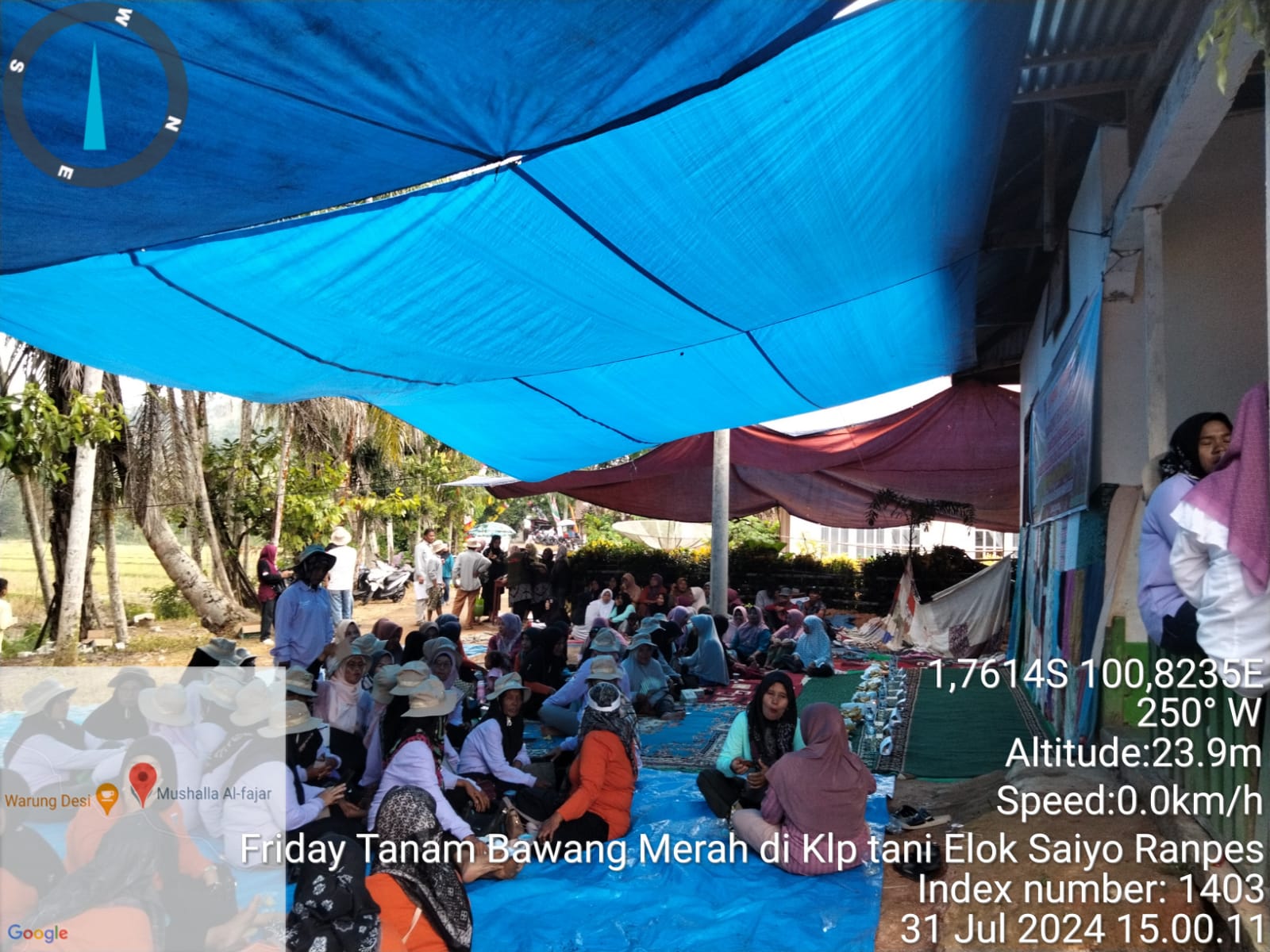 TPH-FIELDAY TANAM DALAM KEGIATAN SL GAP BAWANG MERAH