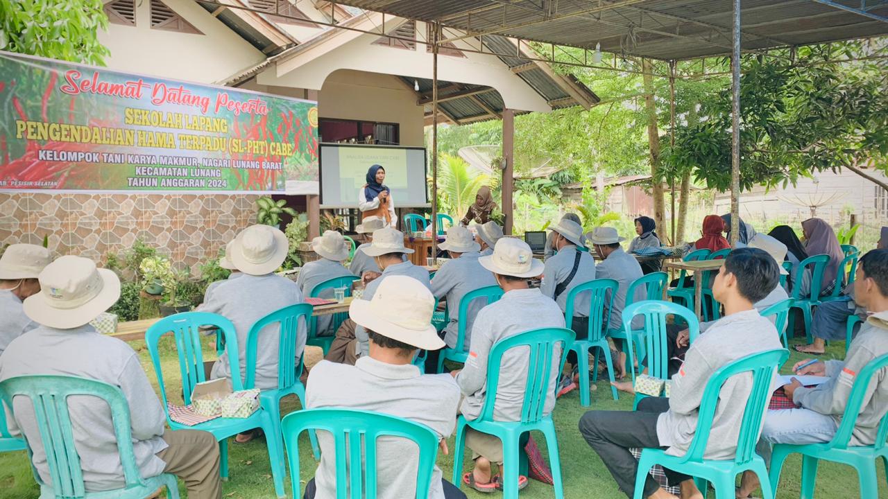 Sekolah Lapang Pengendalian Hama Terpadu ( SL- PHT ) CABE di Kelompok Tani Karya Makmur Nagari Lunan