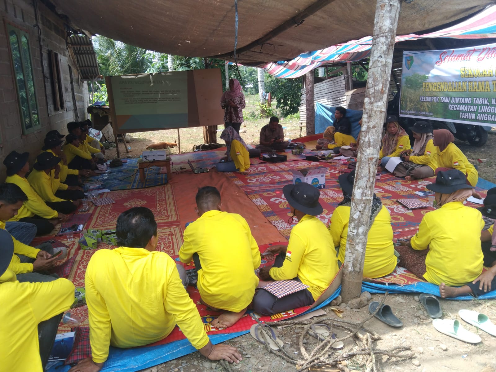 Sekolah Lapang Pengendalian Hama Tanaman  di Kelompok Tani Bintang Tabik Kec. Linggo Sari Baganti