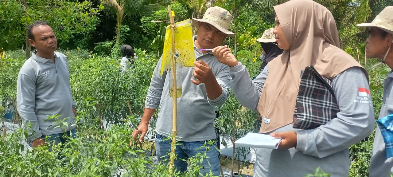 TPH-PENUTUPAN SL PHT CABE DI KELTAN GARABAK KEC BAYANG UTARA