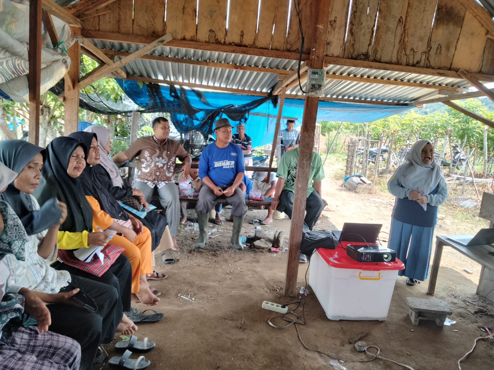 Sekolah Lapang Tanaman Melon di Poktan Tengah Padang Kec. Ranah Pesisir