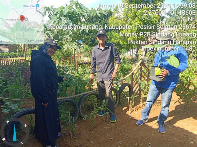 TPH-MONEV BANTUAN P2B KE KELOMPOK TANI SINDANG HARAPAN KECAMATAN LUNANG