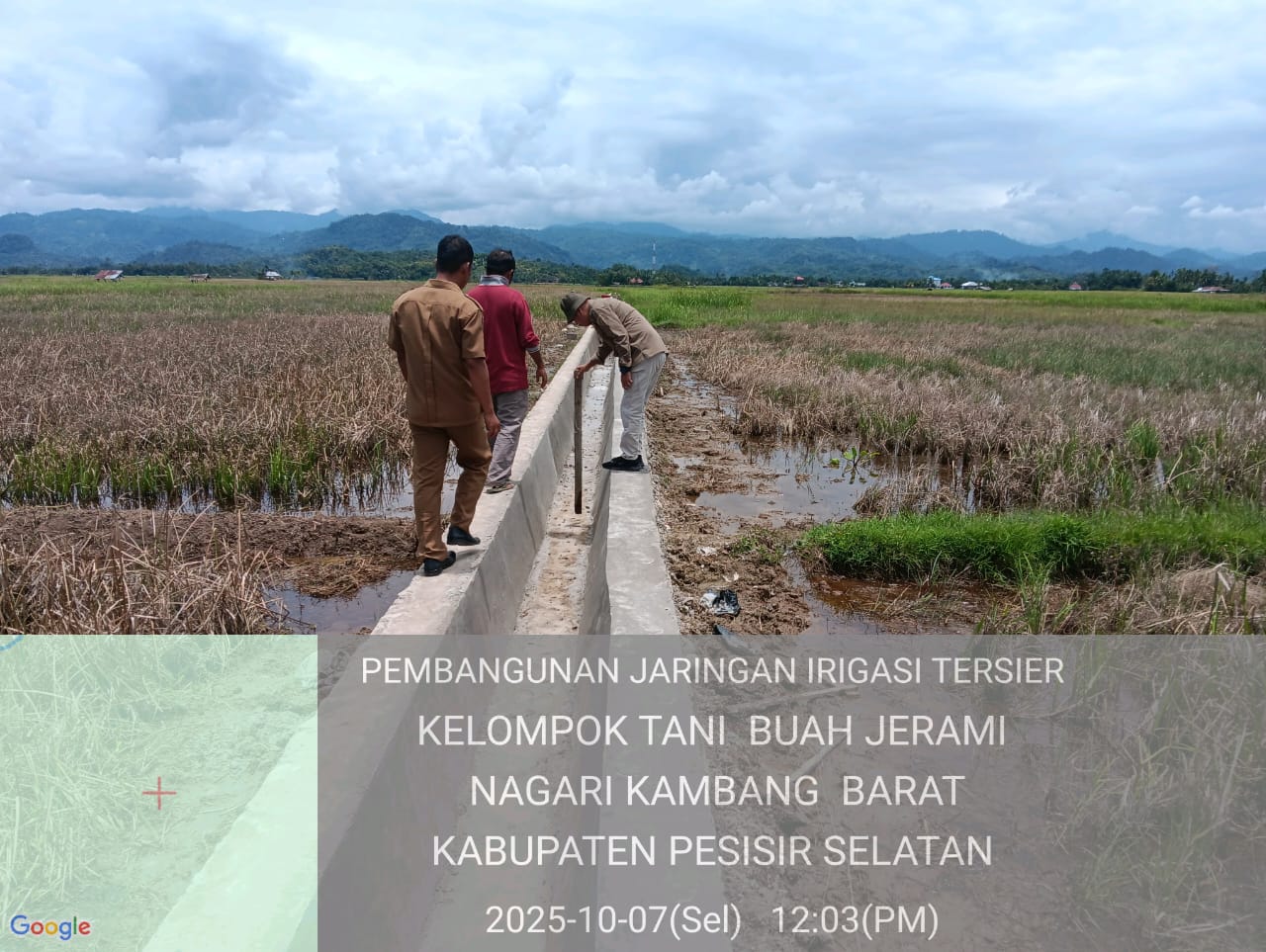 Kabid Penyuluhan bersama Staf ke Lapangan di Kambang Barat Pembangunan Jaringan Irigasi Tersier