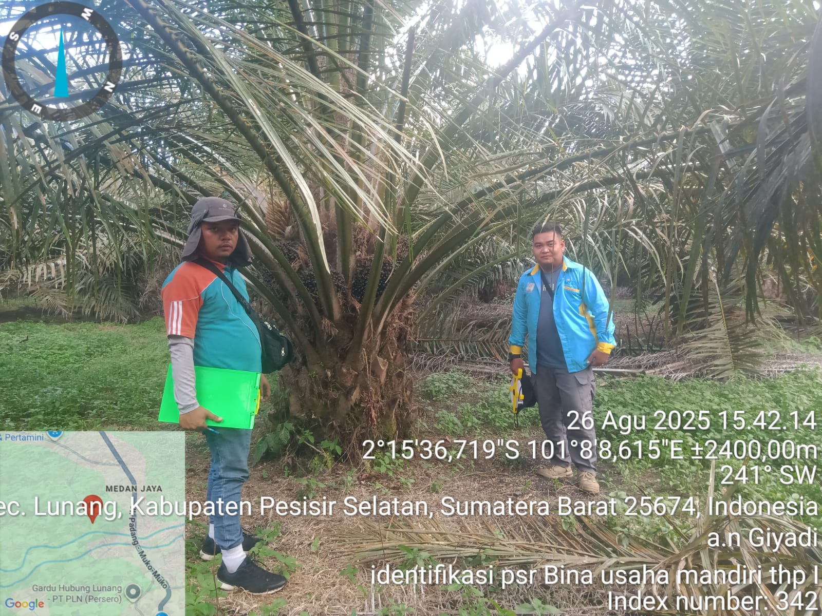 Penilaian Fisik Kebun Kelapa Sawit di Koperasi KUB BINA USAHA MANDIRI Kecamatan Lunang