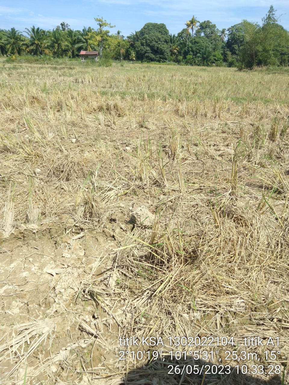 PENGAMATAN KERANGKA SAMPLE AREA WKPP KUBU TAPAN