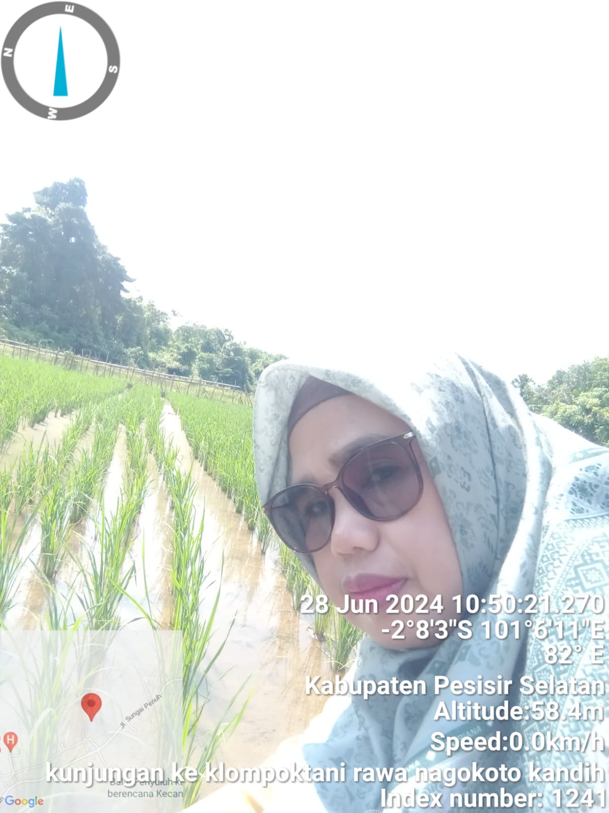 PENGAMATAN HAMA PENYAKIT TANAMAN PADI SAWAH KELOMPOK TANI RAWA NAGO KOTO KANDIH