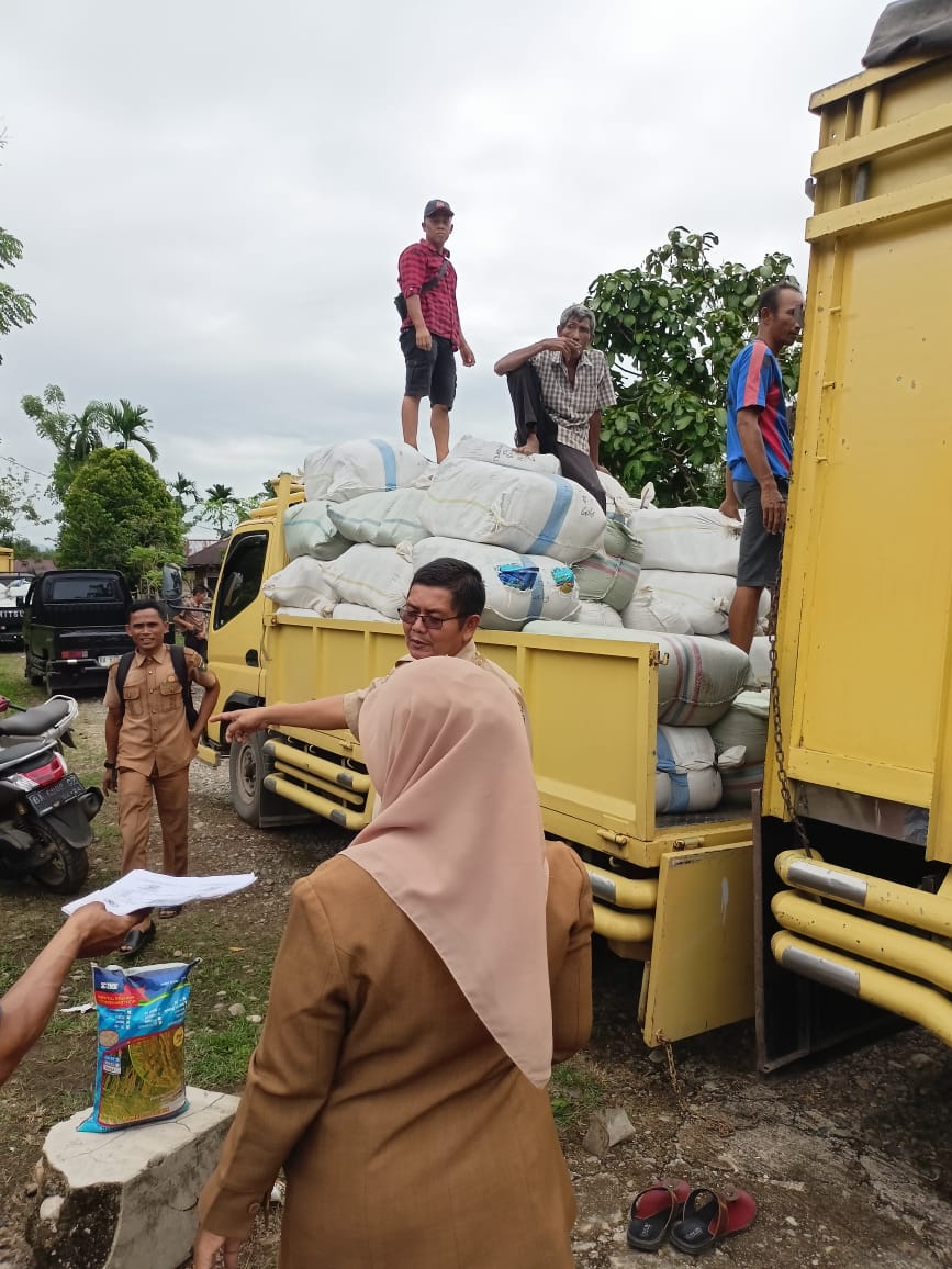 DENGAN BANTUAN BENIH YANG KAYA GIZI INPARI IRZINK ,PETANI MULAI TURUN KESAWAH
