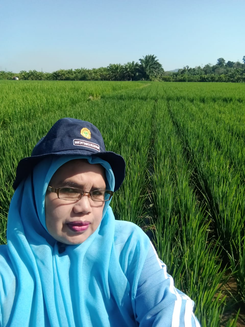 PENGAMATAN TANAMAN PADI SAWAH DIKELOMPOK TANI RAWA NAGO KOTO KANDIH