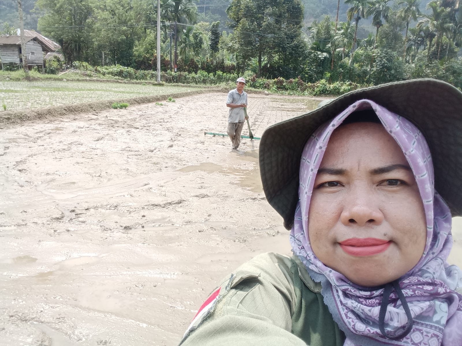 PENGGUNAAN CAPLAK UNTUK TANAMAN PADI JARWO