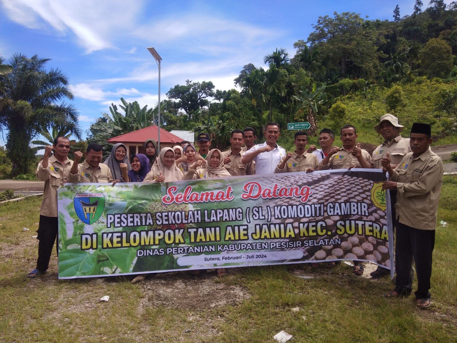 GAMBIR KOMODITI UNGGULAN KAB PESISIR SELATAN.