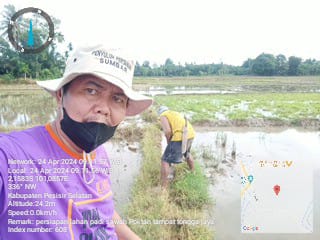 Upaya peningkatan kinerja tanam padi sawah periode april sep 2024 di kec Rahul