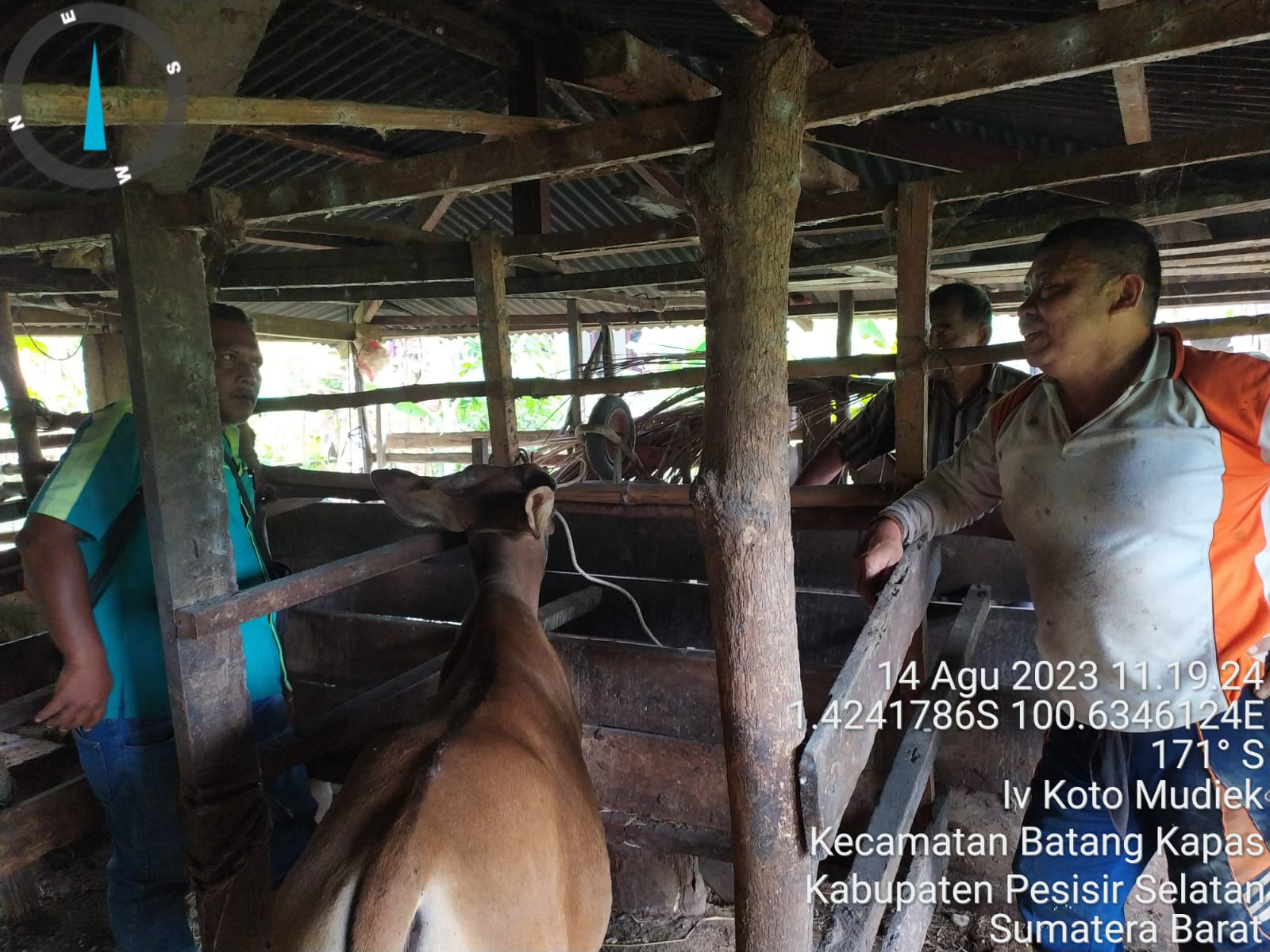 VAKSINASI PMK DAN RABIES DI NAGARI IV KOTO MUDIEK KEC. BATANG KAPAS TERHALANG CUACA HUJAN