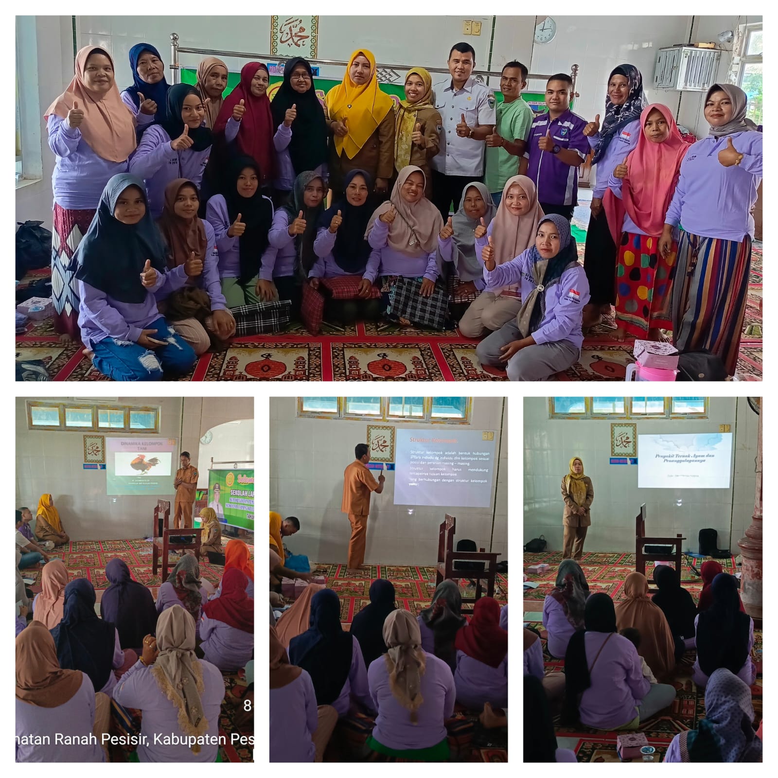 SEKOLAH LAPANG TERNAK AYAM KUB DI KELOMPOK TANI KWT JALAN BARU KECAMATAN RANAH PESISIR