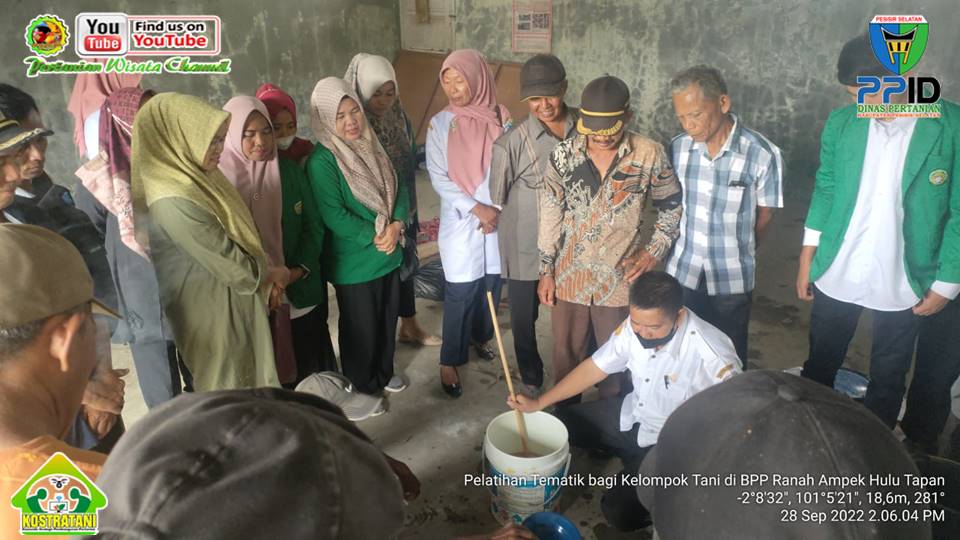 PEMBUATAN PUPUK ORGANIK PADAT DARI JERAMI PADI/JAGUNG DAN POC REBUNG BAMBU 
