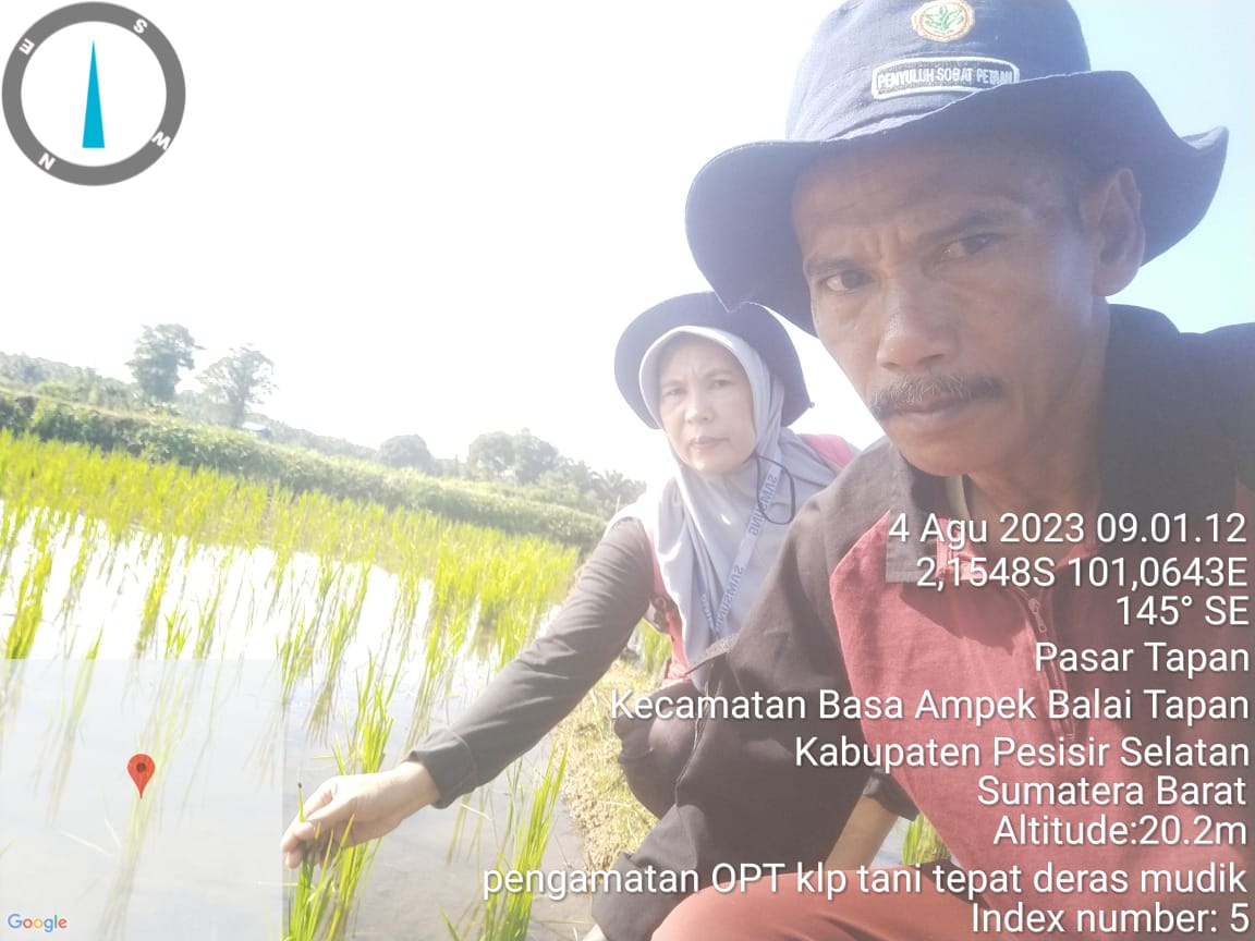 Pengamatan Rutin OPT di WKPP Oleh Pimpinan BPP dan Penyuluh