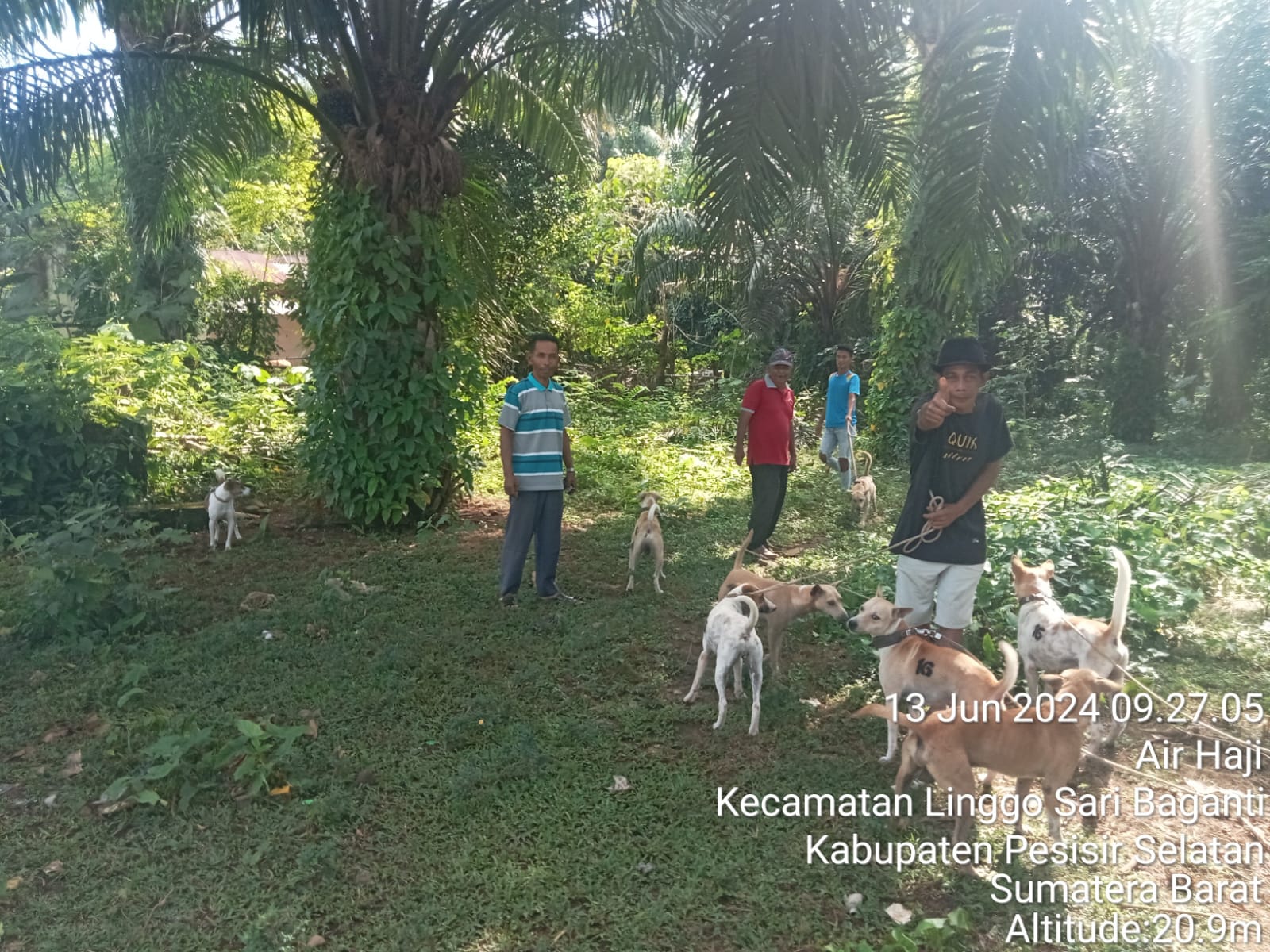 Vaksinasi Rabies Pada Hewan Pembawa Rabies di Nagari Pasar Bukit Air Haji Kecamatan Linggo Sari Baga