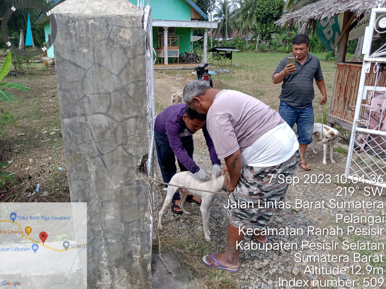 vaksinasi rabies di Nagari Pasia Pelangai Kecamatan Ranah Pesisir