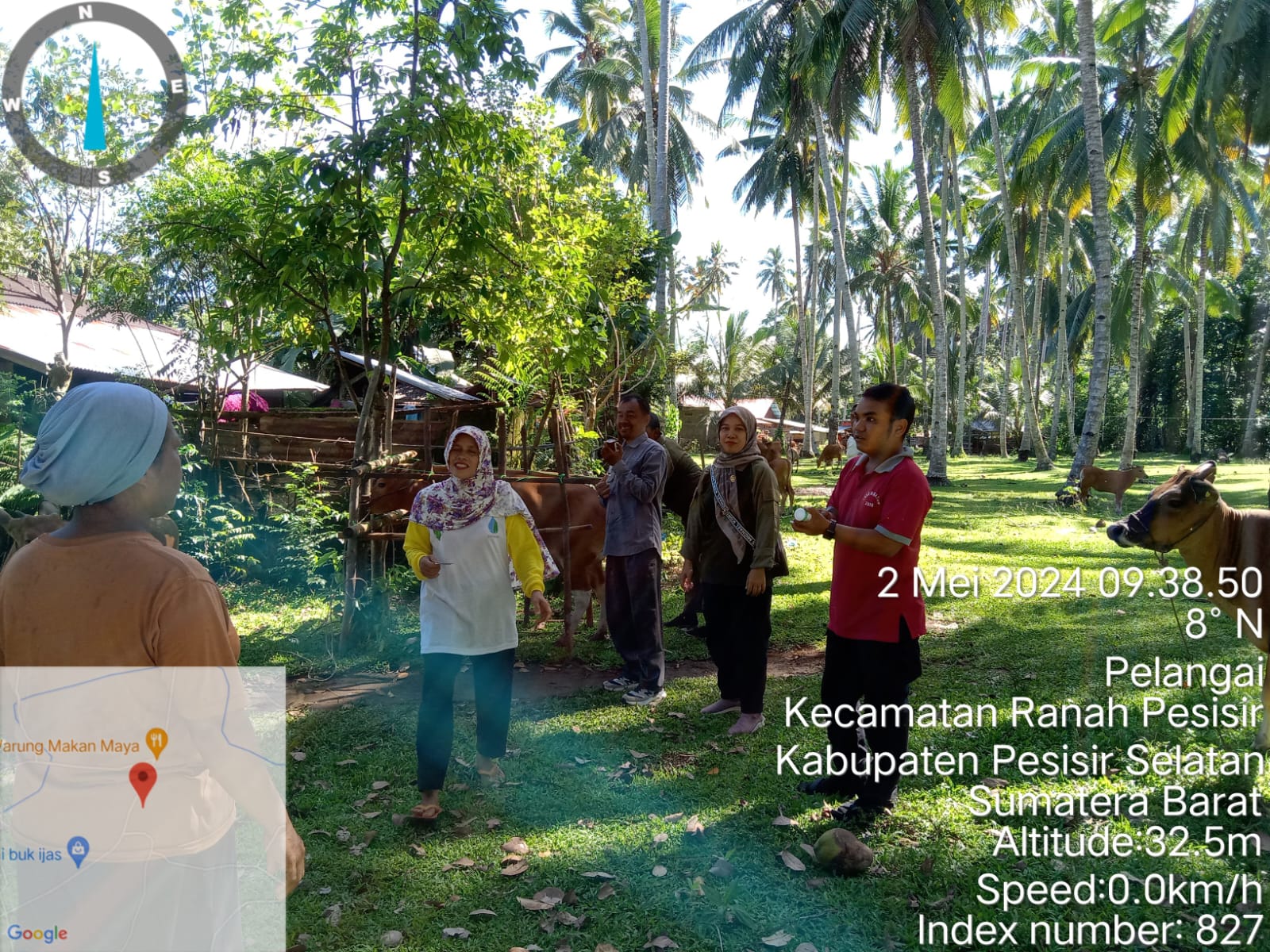 Vaksinasi PMK pada ternak sapi di Nagari Koto VIII Pelangai Kecamatan Ranah Pesisir