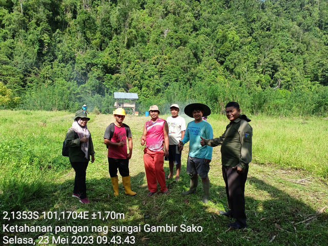 PENGALOKASIAN DANA NAGARI  UNTUK KETAHANAN PANGAN  DENGAN PENGEMBANGAN BUDIDAYA CABE MERAH(Capsicum 