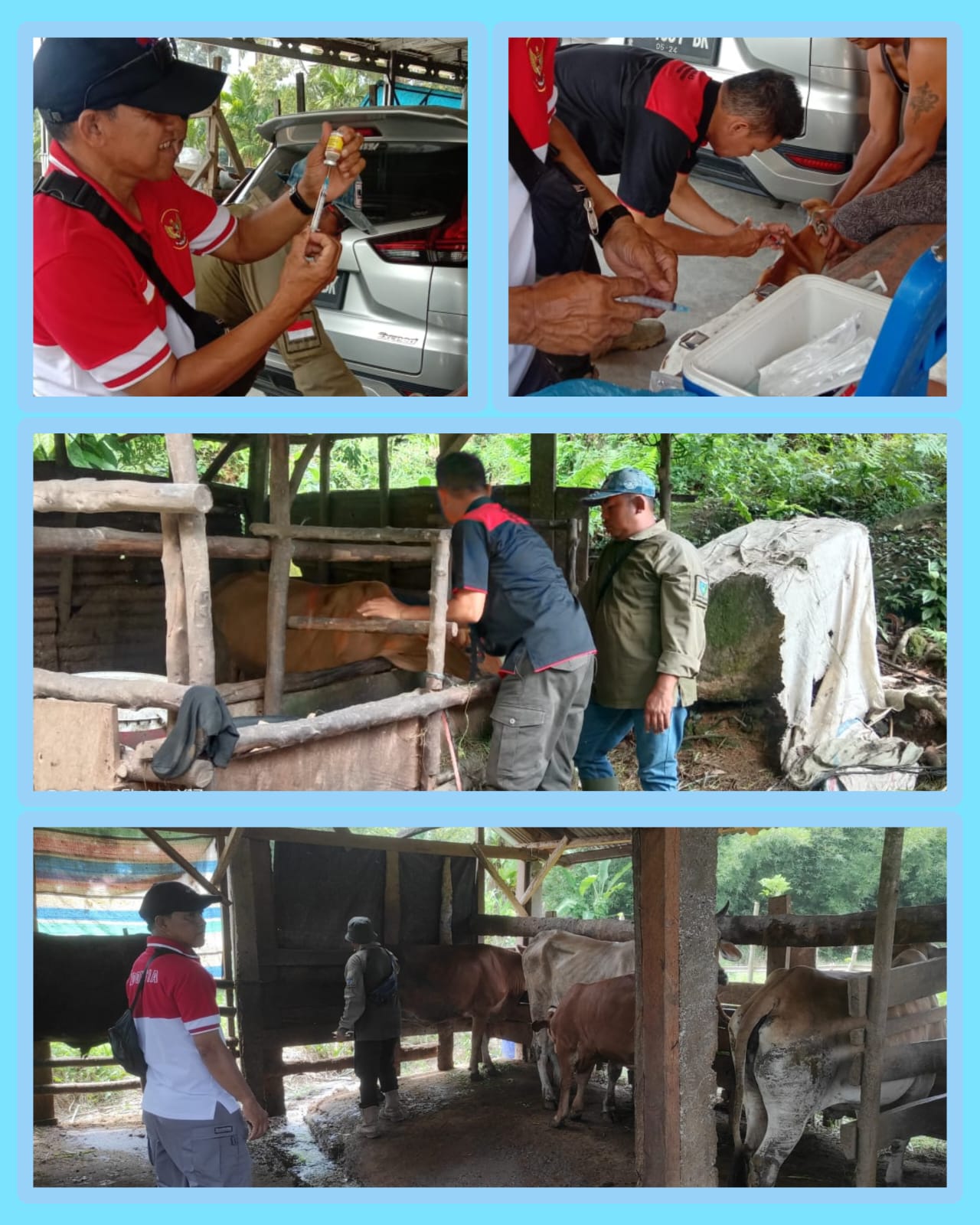 Pelayanan Vaksinasi Penyakit Mulut dan Kuku ( PMK) dan Rabies di Nagari Barung Barung Balantai Kecam
