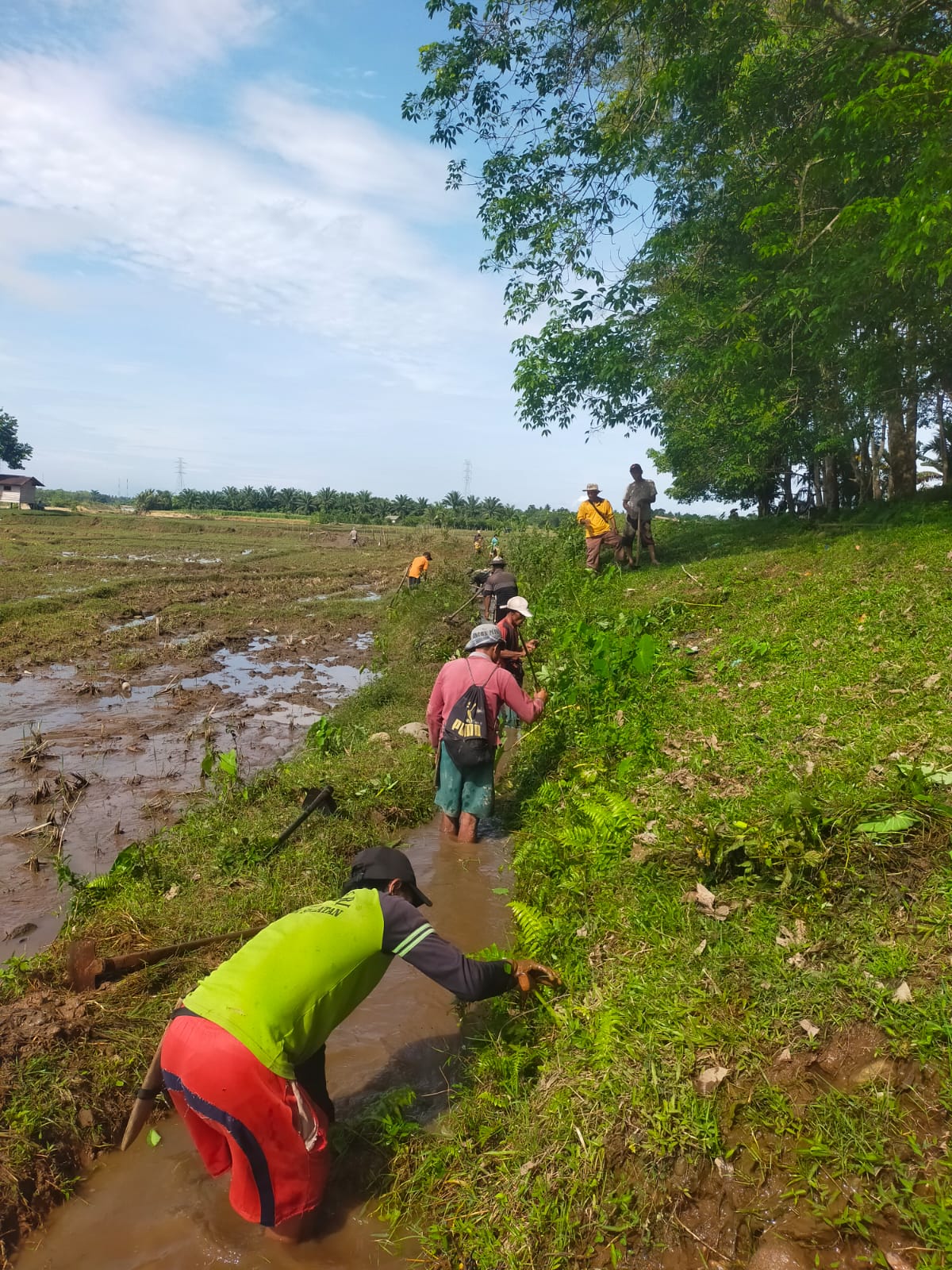 Goro bersama poktan dalam rangka turun kesawah