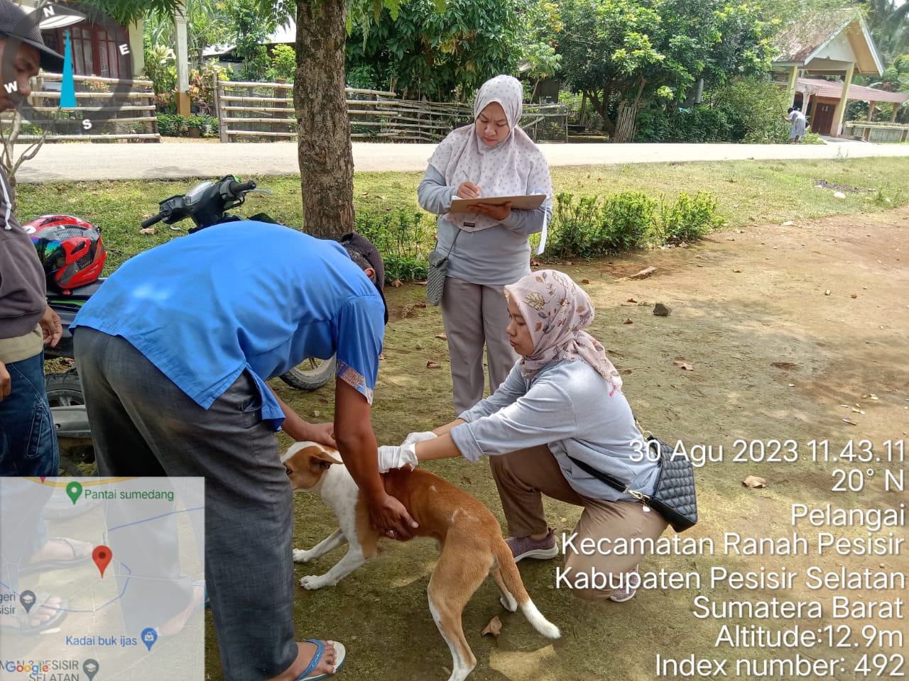 Vaksinasi Rabies di Nagari Koto VIII Pelangai Kecamatan RAnah Pesisir
