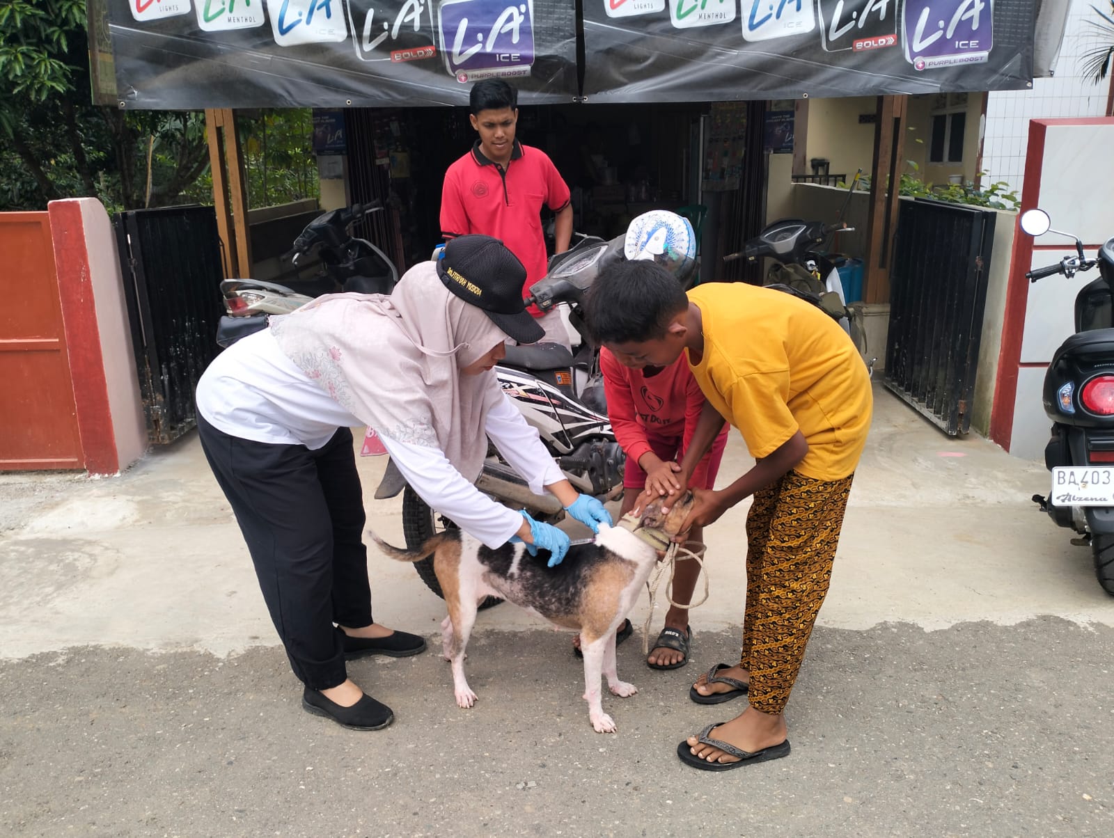 Vaksinasi Rabies Pada Hewan Pembawa Rabies di Nagari Pelangai Gadang