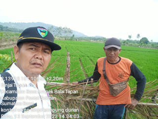 kunjungan ke wkpp binjai pengamatan padi sawah