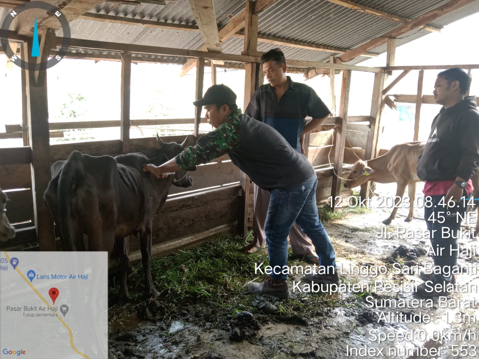 Vaksinasi PMK di Nagari Sungai Sirah Air Haji 