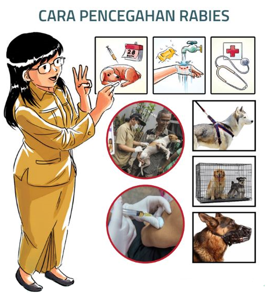 RABIES: Kenali Bahayanya, Lindungi Keluarga dan Hewan Kesayangan Kita