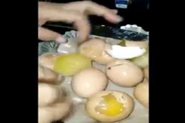 TELUR PALSU!???