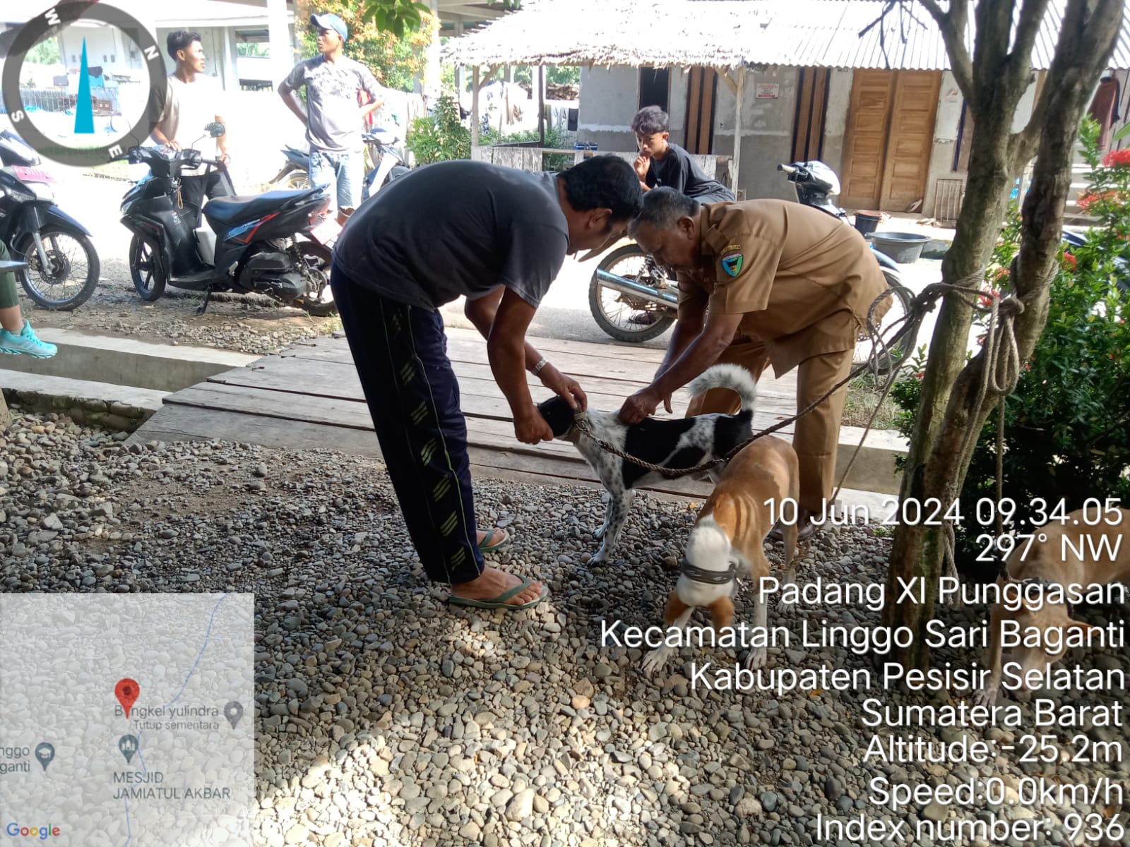 Kegiatan Vaksinasi Rabies di Nagari Padang XI Punggasan Kecamatan Linggo Sari Baganti 