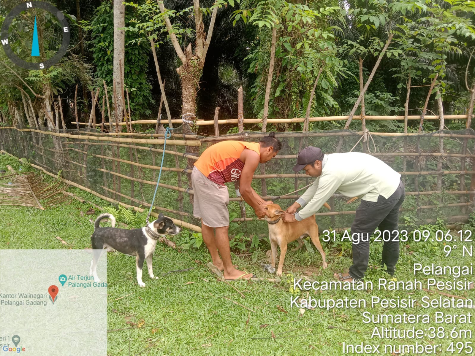 Vaksinasi Rabies di Nagari Pelangai Gadang Kecamatan Ranah Pesisir
