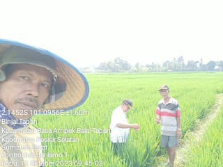 kunjungan ke wkpp binjai kontrol tanaman padi sawah poktan banda lamo I